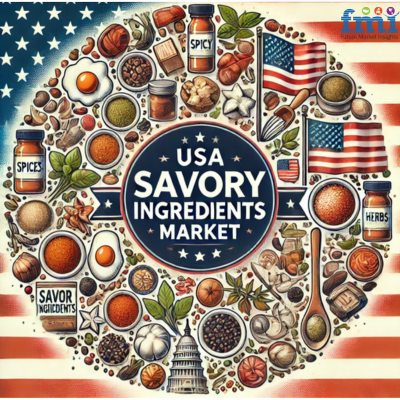 USA Savory Ingredients Market