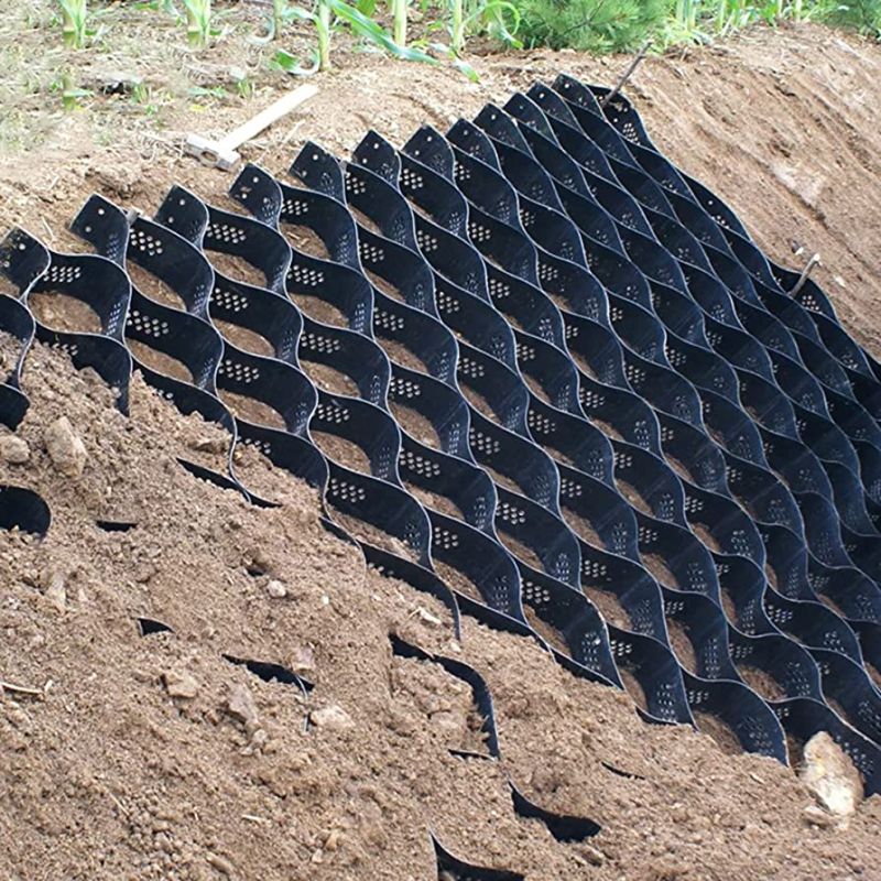 Geogrid Markets Forecast