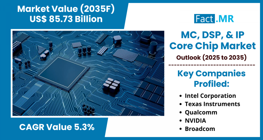 MC, DSP, IP & core chip market