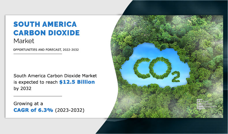 South America Carbon Dioxide Market