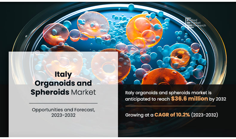 Italy Organoids and Spheroids Market Research Report