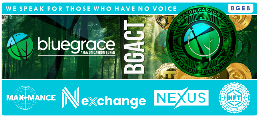 BlueGrace Energy Bolivia Top Banner - NFT