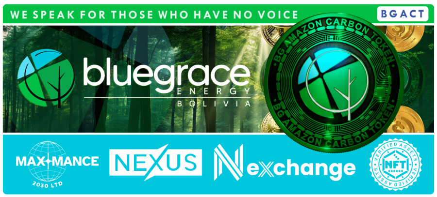 BlueGrace Energy Bolivia