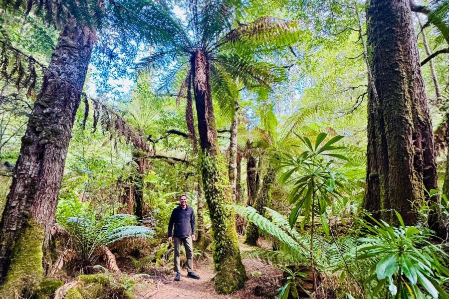 Race Director Chris Dixon setting The Legend Course in tropical forest and ferns