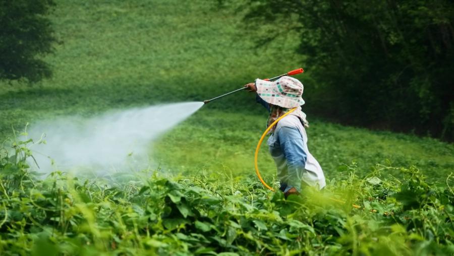 Nanopesticides Market