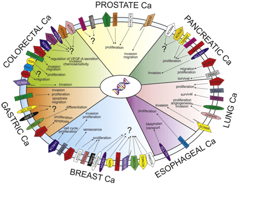 Cancer Biomarkers Market Growth 2025