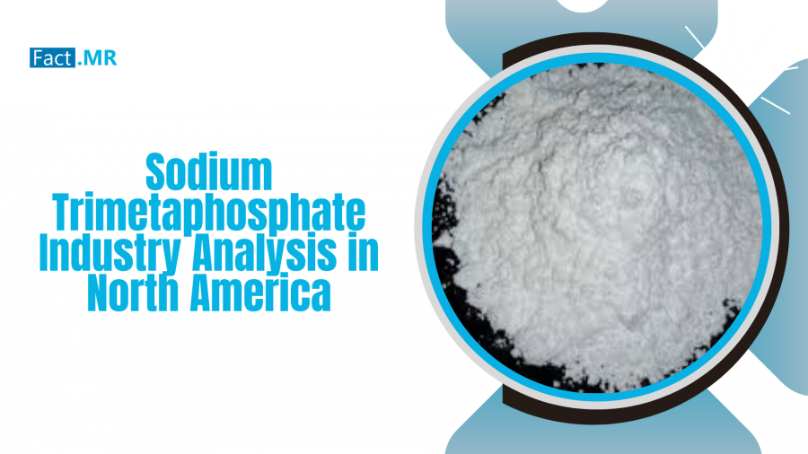 Sodium Trimetaphosphate Industry Analysis in North America