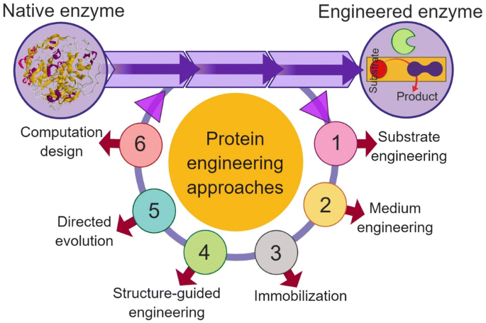 Global Protein Engineering Market