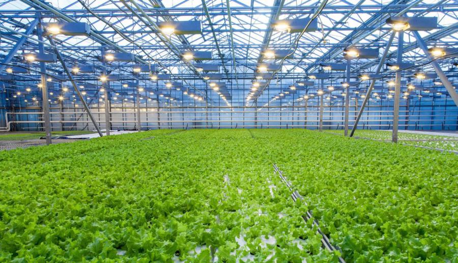 Smart Greenhouse Market