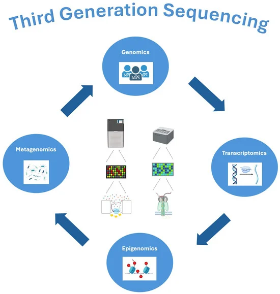 Third Generation Sequencing Market 2025