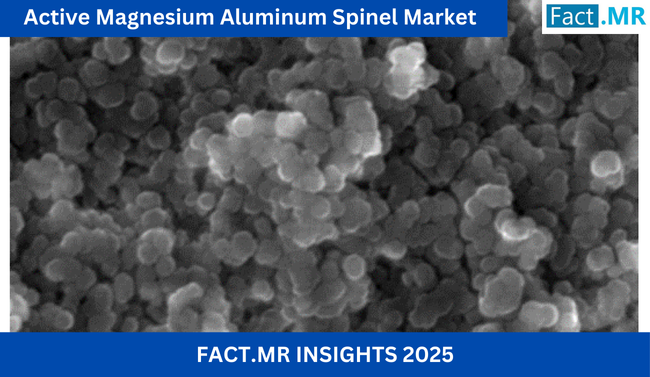 According to Fact.MR, a market research and competitive intelligence provider, the active magnesium aluminum spinel market was valued at USD 168