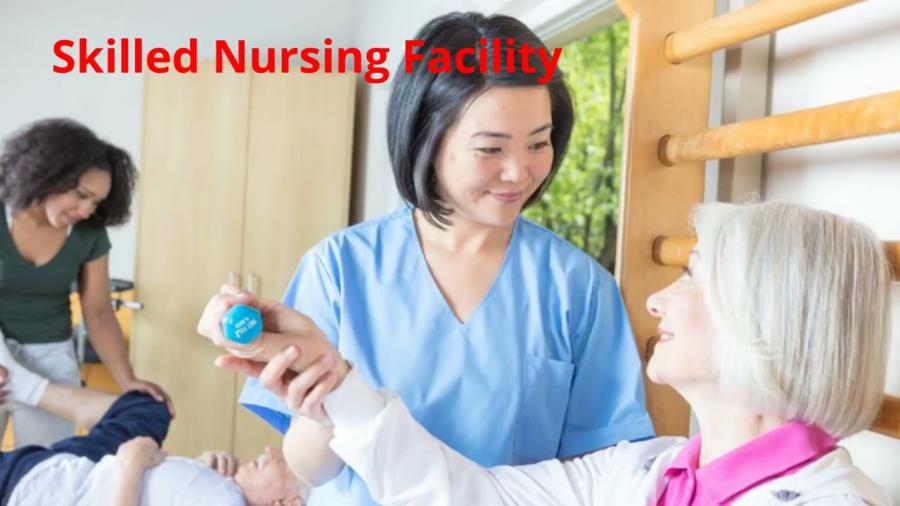 Global Skilled Nursing Facility Market 2025
