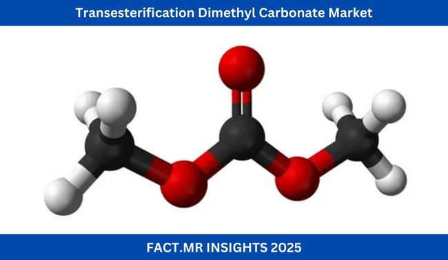 Global Transesterification dimethyl carbonate Market was valued at USD 508 Transesterification Dimethyl Carbonate Market