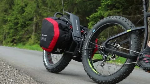 In 2025, the global cargo bike tire market size is estimated at approximately USD 254 Cargo Bike Tire Market