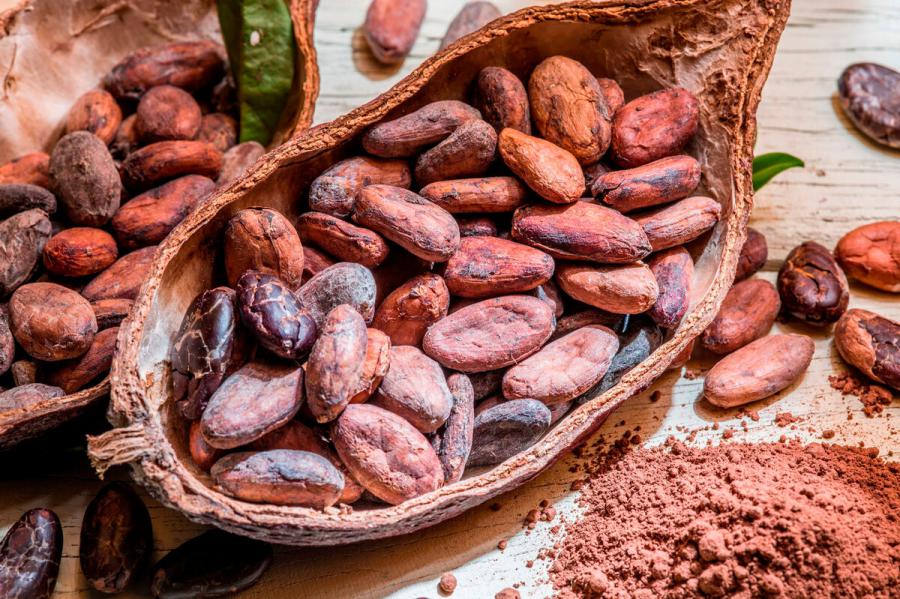 Cocoa Derivatives Market