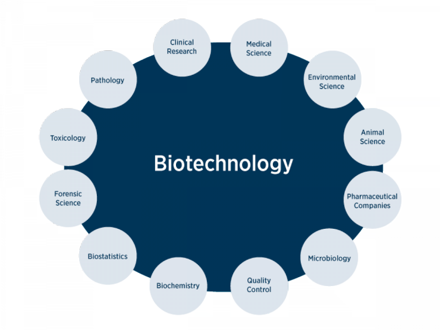 Biotechnology Market Growth 2025