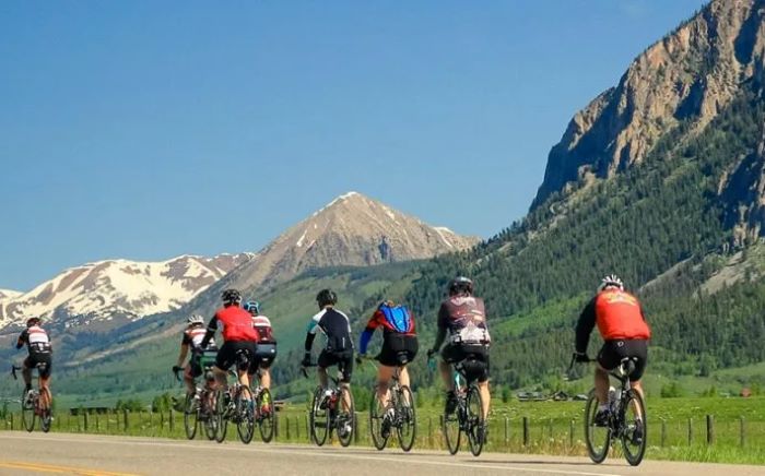 The global bicycle tourism market is experiencing strong growth as consumers increasingly turn toward environmentally conscious travel and active lifestyle experiences