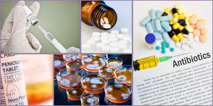 Market Overview:
The Global Penicillin Drug Market is estimated to be valued at USD 11 Penicillin Drug Market Growth 2025