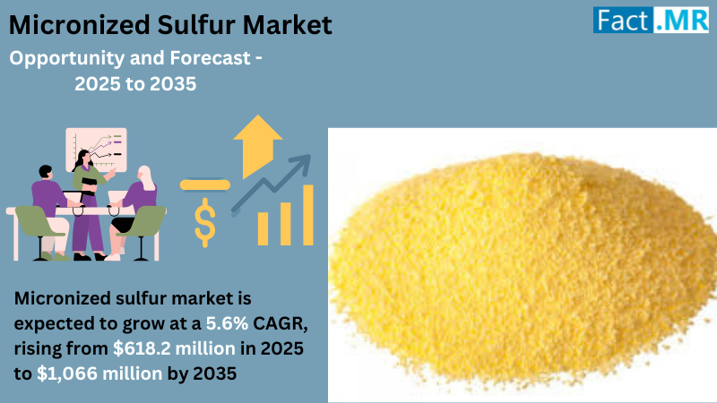 According to Fact.MR, a market research and competitive intelligence provider, the micronized sulfur market was valued at USD 585