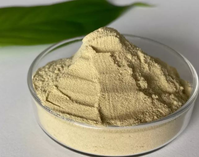 In 2025, the global xylanase market was valued at approximately USD 21,662 Xylanase Market