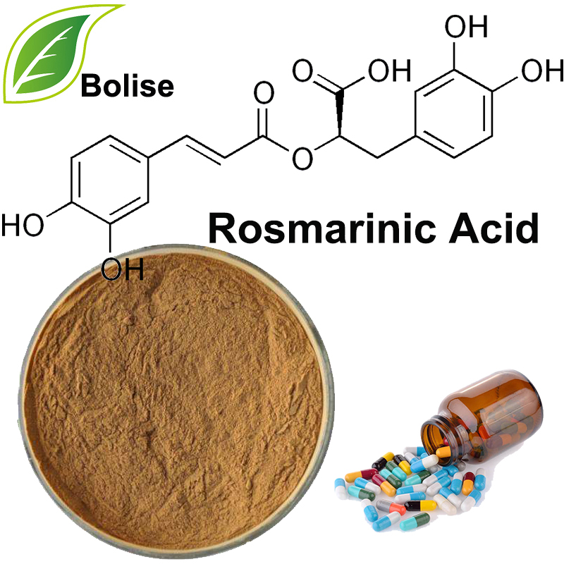 The global rosmarinic acid market is on a robust growth trajectory, with its valuation expected to reach USD 154 Rosmarinic Acid Market