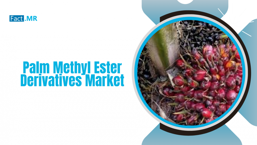 Palm Methyl Ester Derivatives Market