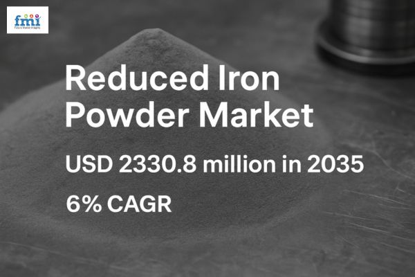 The global reduced iron powder market is on a steady growth trajectory, driven by rising consumption across diverse end-use industries, especially in the food and pharmaceutical sectors