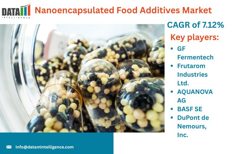 The Nanoencapsulated Food Additives Market was valued at US$ 188 Nanoencapsulated Food Additives Market