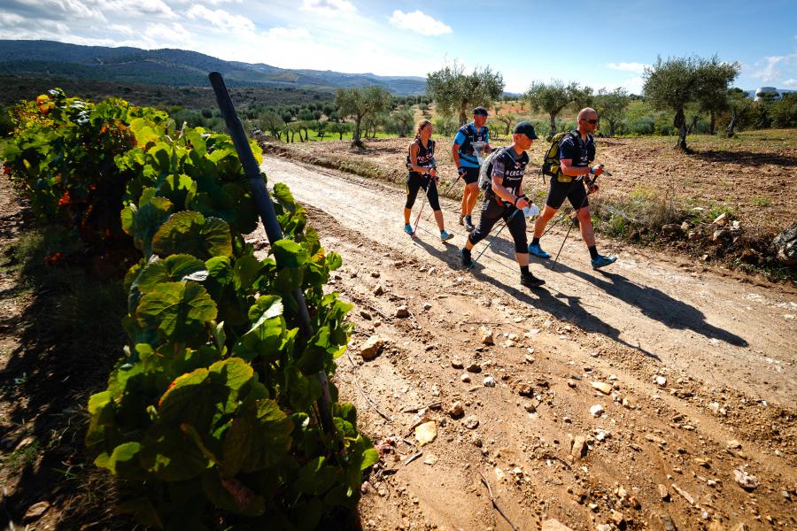 Trekking through Vineyards at Norcha in the Douro
