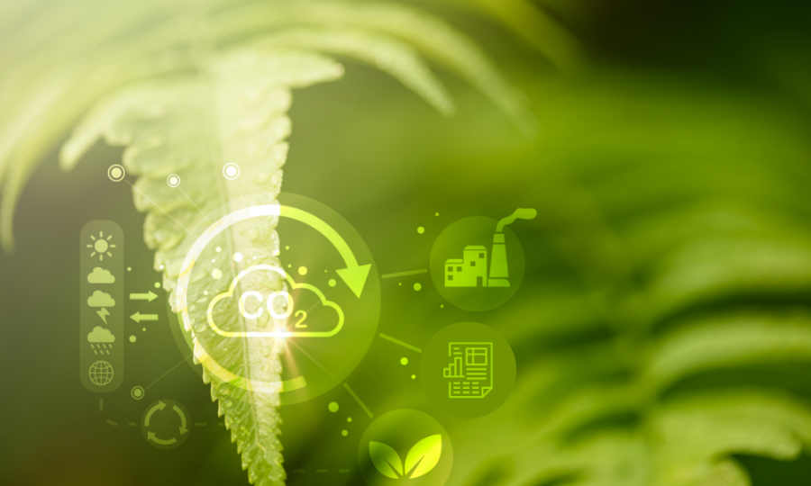 Greenhouse Gas Reporting
