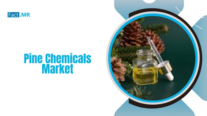 The global pine chemicals market, valued at US$ 17 Pine Chemicals Market