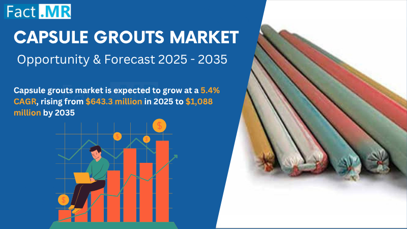According to Fact.MR, a market research and competitive intelligence provider, the capsule grouts market was valued at USD 615