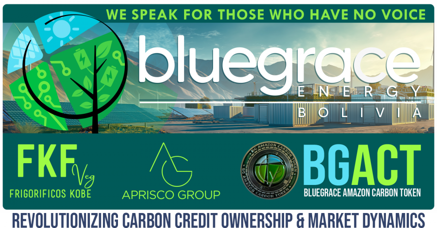 Bluegrace Energy Bolivia - ONUDI - Peru