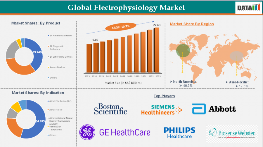 Electrophysiology Market