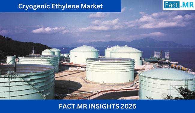The global Cryogenic Ethylene Market is poised for significant expansion, projected to grow from $6 Cryogenic Ethylene Market