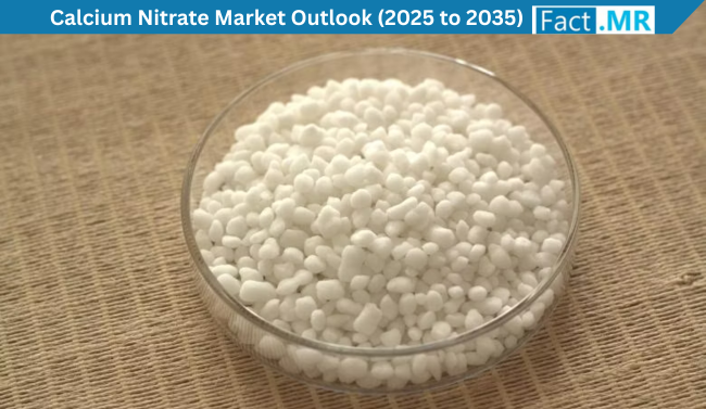 The global calcium nitrate market is valued at USD 14 Calcium Nitrate Market