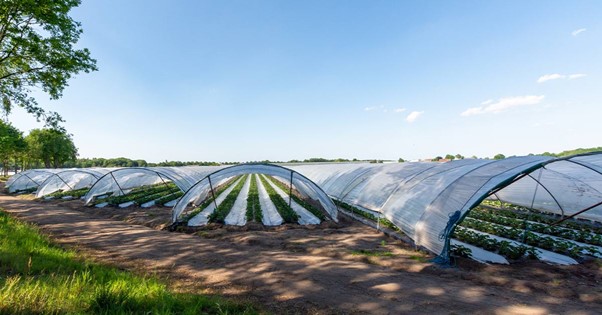 The Allied Market Research report provides a comprehensive analysis of the global agricultural films market, offering valuable insights into current market size and projected growth across various segments based on type, solution, and end user Agricultural Films Market Trend