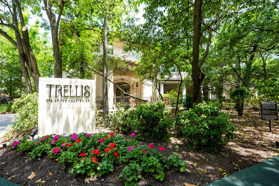 trellis spa sign