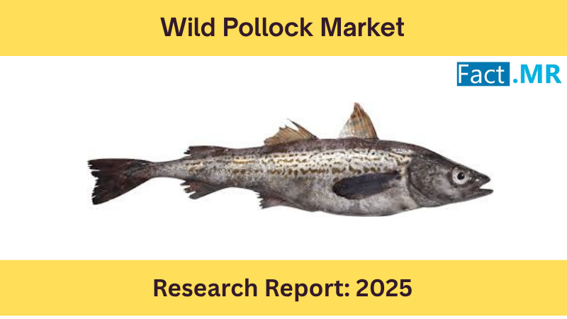 The newly released Global Wild Pollock Market report projects significant growth, with the market expanding from USD 2,275 million in 2024 to USD 3,981 million by 2035, achieving a steady compound annual growth rate (CAGR) of 5 Wild Pollock Market