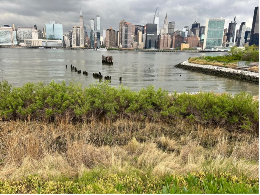 Ten developments from across North America have been selected as winners of the Urban Land Institute’s (ULI) 2025 ULI Americas Awards for Excellence including Hunter’s Point South Park designed by famed architect Tom Balsley Hunter’s Point South Park (Photo Credit: James Edstrom)
