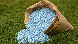 The increasing demand for fertilizers to boost agricultural productivity is significantly driving the growth of the fertilizer catalyst market Fertilizer Catalyst Market Trends