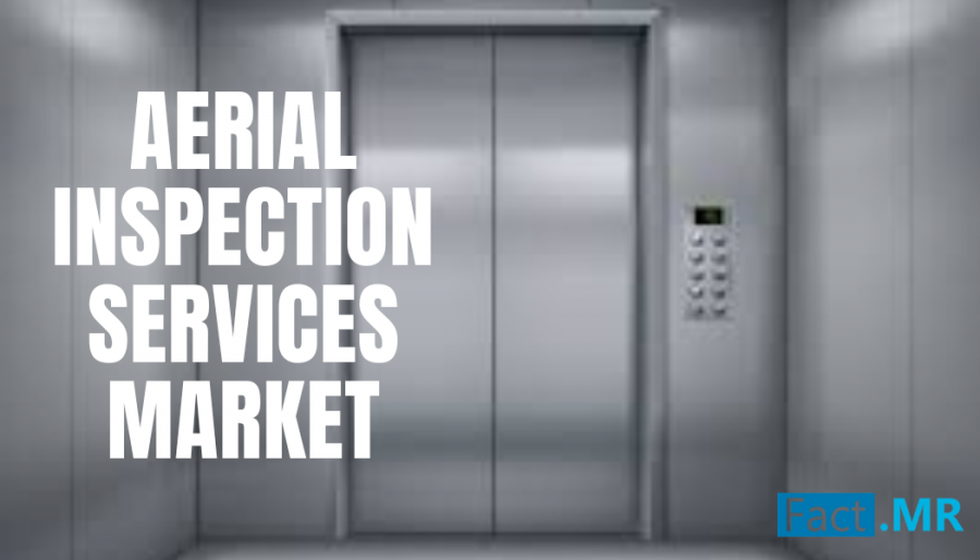 Aerial Inspection Services Market