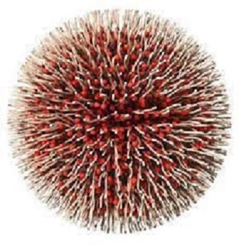 The global polymeric nanoparticles market is witnessing significant growth, fueled by the increasing demand from the pharmaceutical sector and the rising adoption in the automotive industry Polymeric Nanoparticles Market Key Trends