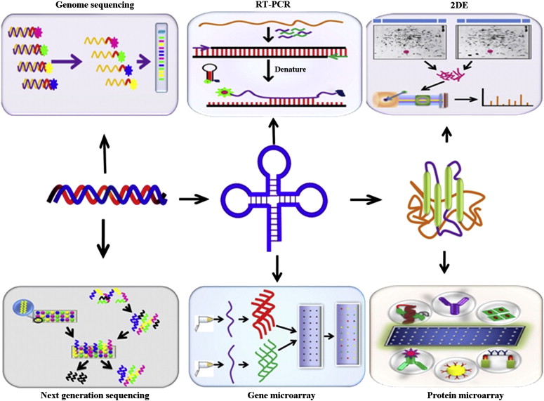 The latest Proteomics Market research report offers crucial insights into how the industry is evolving, highlighting key drivers of growth and the main revenue streams expected between 2025 and 2032 Proteomics Market Report 2025