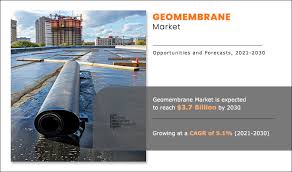 Geomembrane Market, by Raw Material