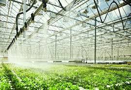 Greenhouse Irrigation System Market