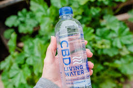 Cbd Water Market