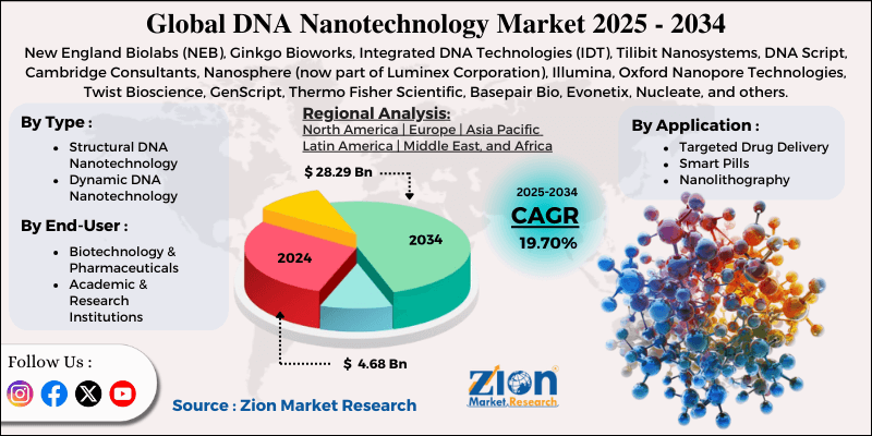 DNA Nanotechnology Market size
