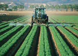 Organic Agricultural Chemicals Market - 2019-2025