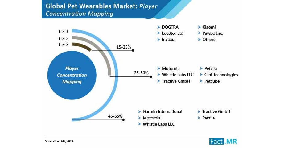 innovation pet net worth 2019